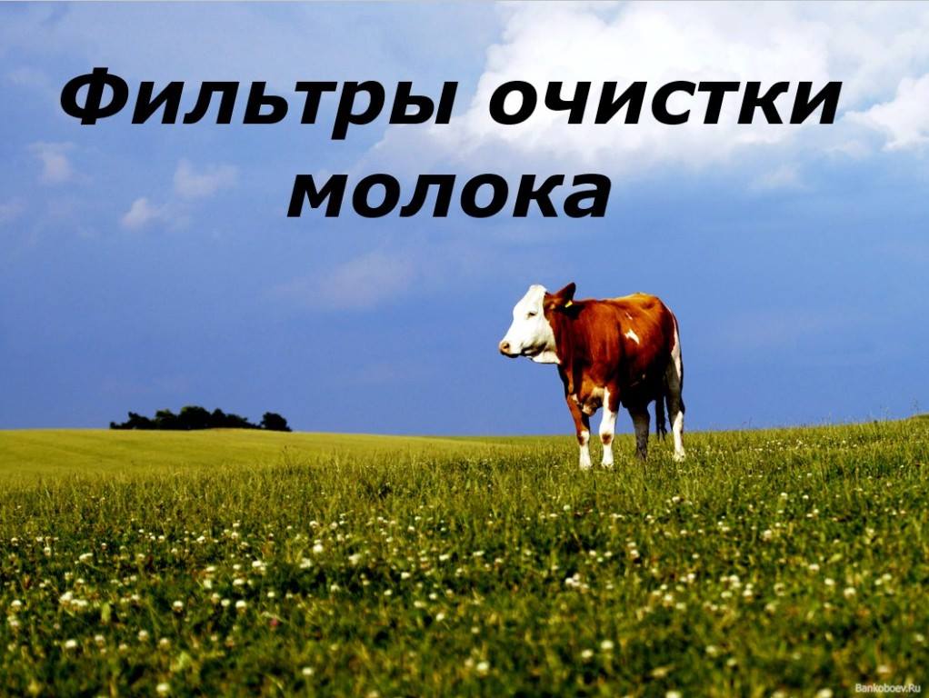 Производство фильтров для молочных ферм