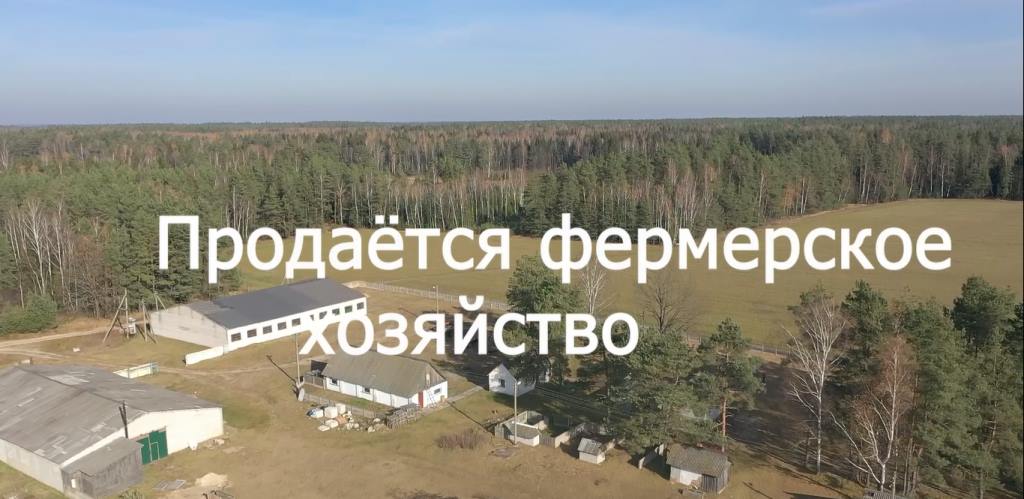 Фермерское хозяйство в Минской области