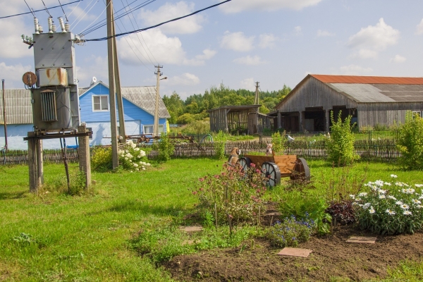 Продается страусиное фермерское хозяйство